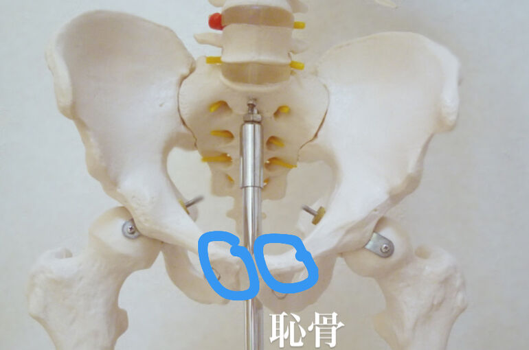 083EED7E-CC39-4BE4-BAB2-824D7C175E65